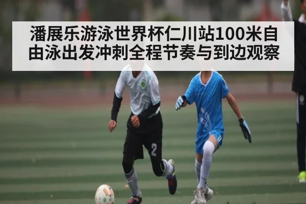 潘展乐游泳世界杯仁川站100米自由泳出发冲刺全程节奏与到边观察